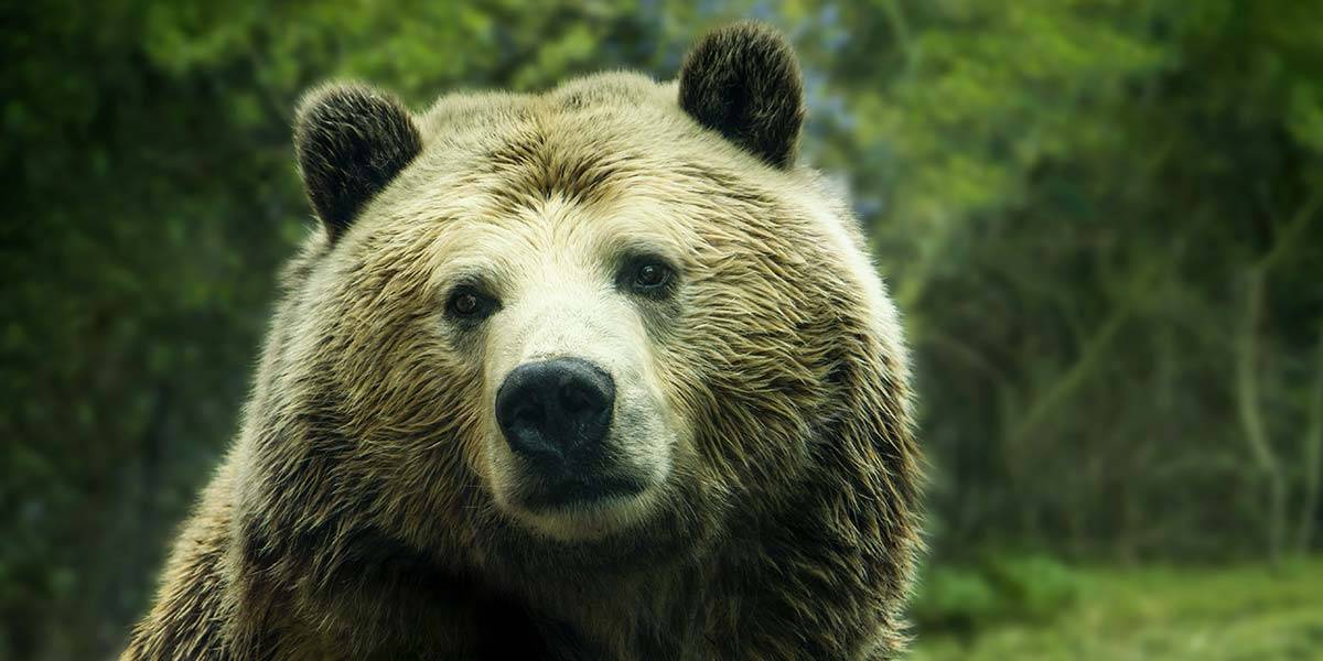 Imageslider Background3